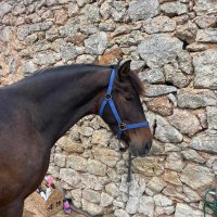 ID4658